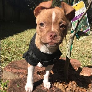 Meet your Posher, Karina